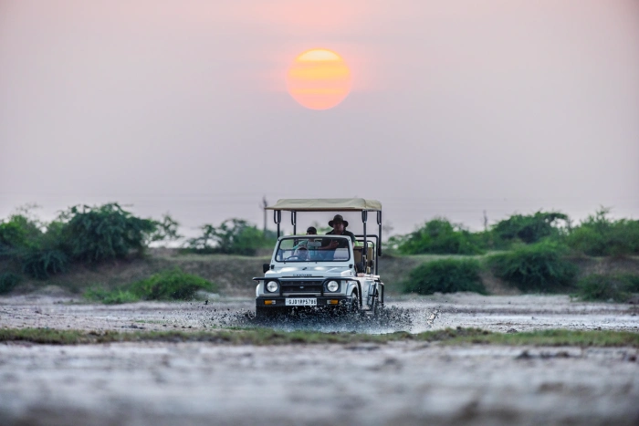Jeep Safari in Little Rann of Kutch